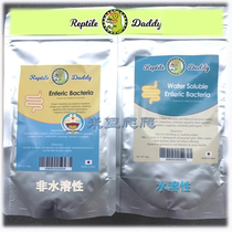 Japan REPTILE tortoise water tortoise reptile lizard dedicated probiotic Enterobacteriaceae 80g 100g