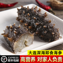 Dalian Liao thorn sea cucumber Turkish ready-to-eat Iceland imported Dalian wild millet porridge 500g Changhai County 30 head speed