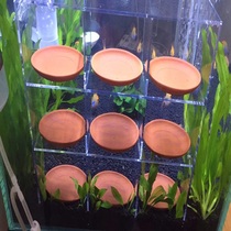 Fish tank ornaments Acrylic Shelf Gold Polo Blue Polo Eggs Raw Fish Breeding Basin Shells Placed Racks Fine Water Clan