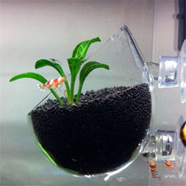 Water Grass Cup Building View Basin Glass Tropical Ornamental Fish Shrimp Vat Inner Microscape Water Mesoview Carrier Suspended Moss Ball Crystal