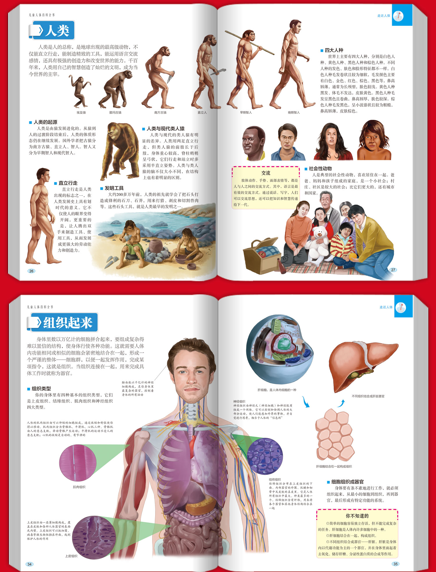 儿童人体百科全书(精)