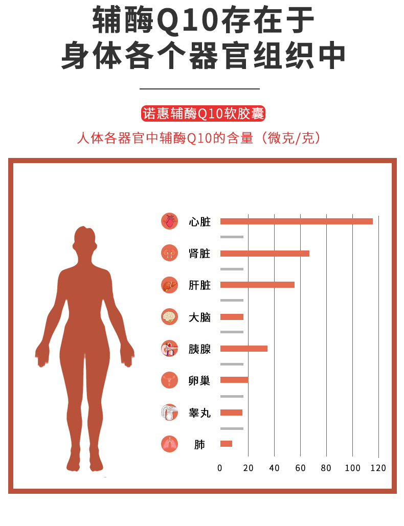 诺惠牌辅酶q10软胶囊2瓶装