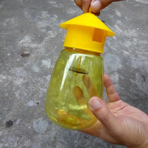 果蝇诱捕器 果实蝇 针锋性诱剂 果蝇引诱剂 瓜果花卉诱虫配药水_双氙