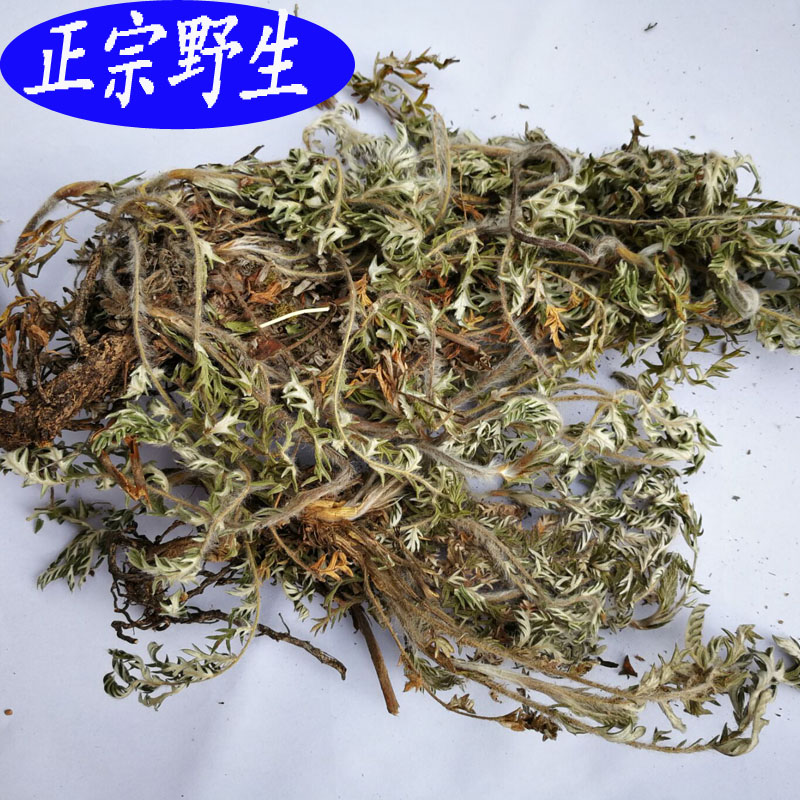 中草药委陵菜野生白头翁 蛤蟆草新货 天青地白 龙牙草
