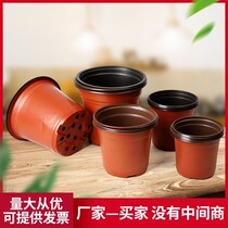 Two-color seedling flowerpot nutrient bowl plastic planting disposable cuttings thickened large-sized strawberry fleshy flowers