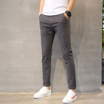 Pants mens spring new casual pants trousers mens Korean version of the trend all-match slim straight pants mens pants spring and autumn models