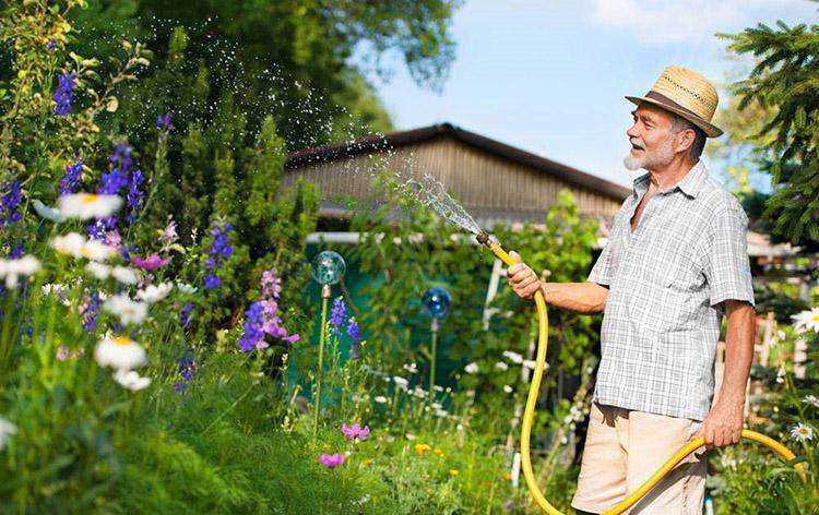 浇花多做一件事,花疯长变花园!