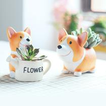 Pastoral cute Koji succulent flower pot decoration living room entrance garden home furnishings original resin ornaments