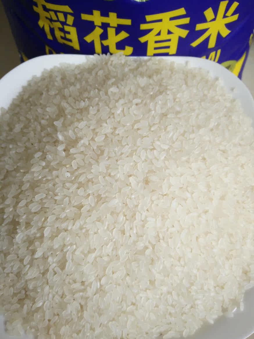 东北大米 特级 新米500g黑龙江农家自产不包邮非 五常 稻花香米