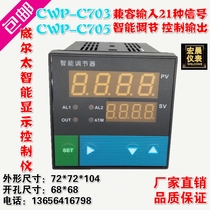 Wilta CWP-C703-02 C705 single circuit measuring and controller temperature pressure liquid number display PID controller