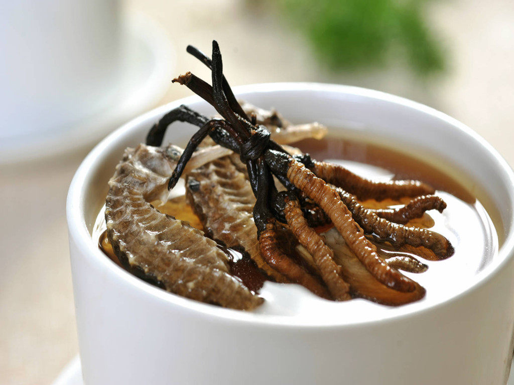 长期服用虫草对于保护人的各脏器,维持身体健康状态,减少患病机会和抗