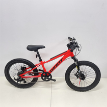 GIANT Giant XTC20-D inch Teen Boys Girls Student Kids Disc Brake Variable Speed Mountain Bike