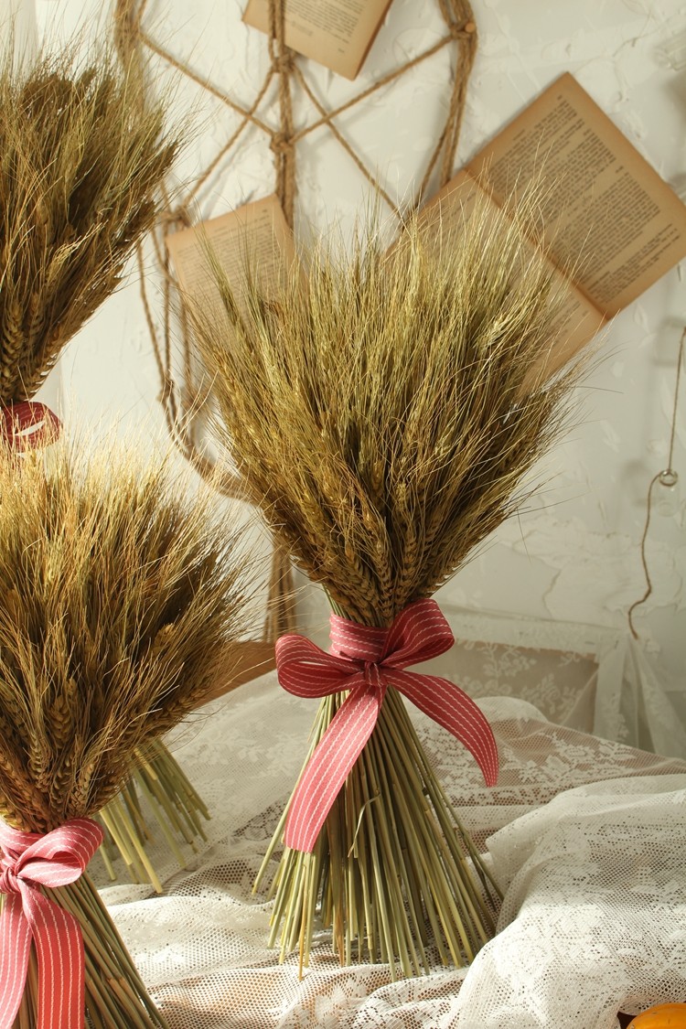 小麦穗田园大麦开业天然植物艺术装饰电影田园乡村花卉摆放花卉道