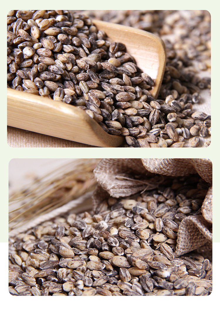 黑小麦 麦仁黑麦米去皮黑麦 黑小麦250g 五谷杂粮 黑麦仁 老郭_双氙