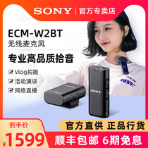 Sony Sony ECM-W2BT Wireless Microphone Collar Microphone Honey Bee Home Live Outdoor Short Video TikTok Phone Recording Device ZV-1 Camera SLR Radio Machine