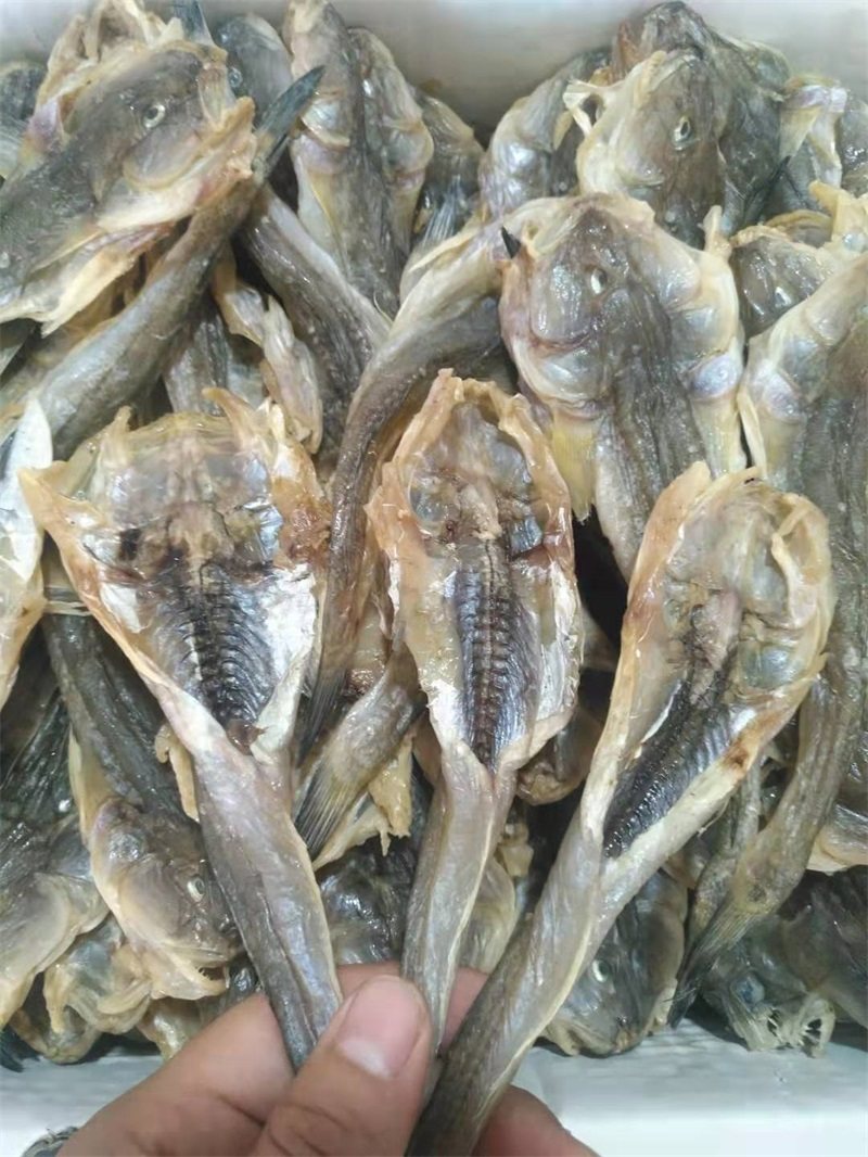 兴城海干海货扔吧鱼咸鱼干500g胖头鱼小咸鱼楞吧鱼油煎小咸鱼包邮