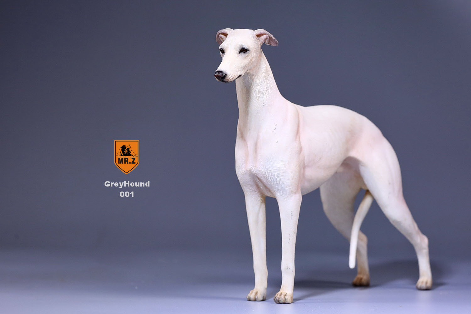 新品mr.z 仿真狗模型 灵缇犬(格力犬)模型 兵人配件家居摆件