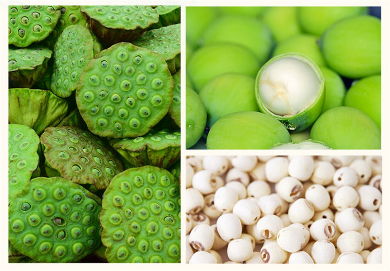 源古谷今年精选正宗一级湖南湘莲寸三莲天然无芯磨皮去心白莲子