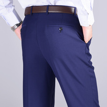 Blue trousers mens straight loose jewel blue Navy blue Royal blue summer dark blue suit suit pants