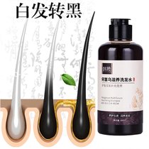 Polygonum polygonum white hair black hair shampoo root pure plant herbal black hair liquid artifact cure white hair nemesis
