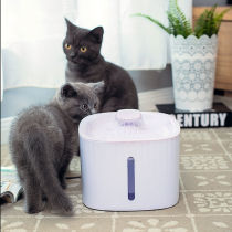 Cat water dispenser Puppy drinking water Drink pet Automatic circulating cat Drink water Flowing Water Bowl water dispenser