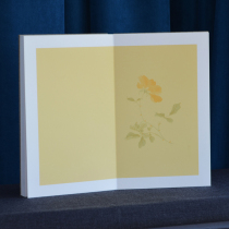 Business meeting sign-in this guest sign-in book birthday opening Annual Meeting class student reunion title roster leader signature book