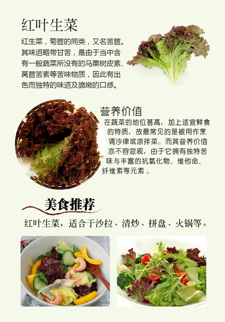 【昱映优鲜】 新鲜红叶 生菜 罗莎红西餐沙拉菜紫生菜 250g