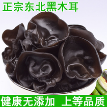 Net weight 10kg bulk northeast black fungus root rootless meat thick medium tablets after soaking 5-8cm medium quality