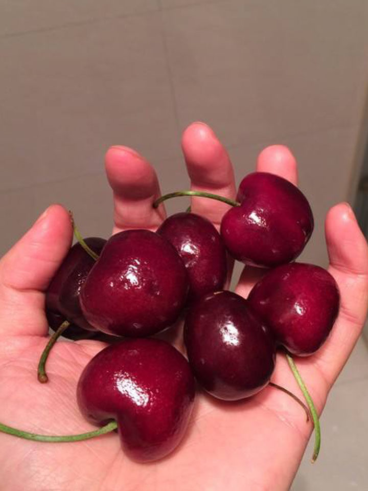 阳山蜜露美国进口脆甜黑珍珠车厘子