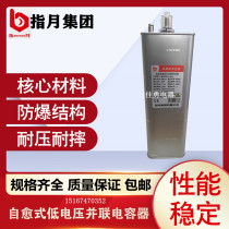 Shanghai Zhiyue Group BSMJ0 4 0 415 0 45-16-3 1 Self-healing parallel power capacitor