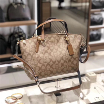 French 2021 New presbyes print simple dumpling bag leather shoulder Hand bag pet bag big bag