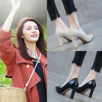 High-heeled womens shoes wild 2021 new spring and autumn fine heel pointed thick heel occupation spring single shoes work shoes summer