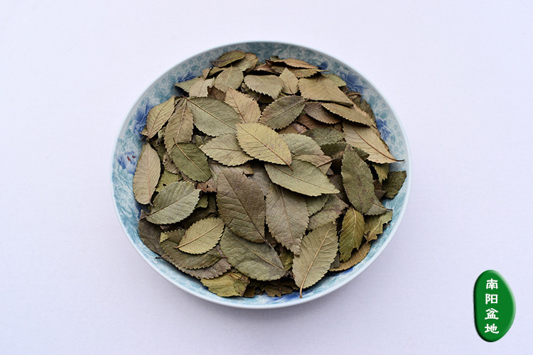 新鲜晒干榆树叶茶清火非榆钱兔子龙猫豚鼠牧草榆叶500g包邮榆树叶