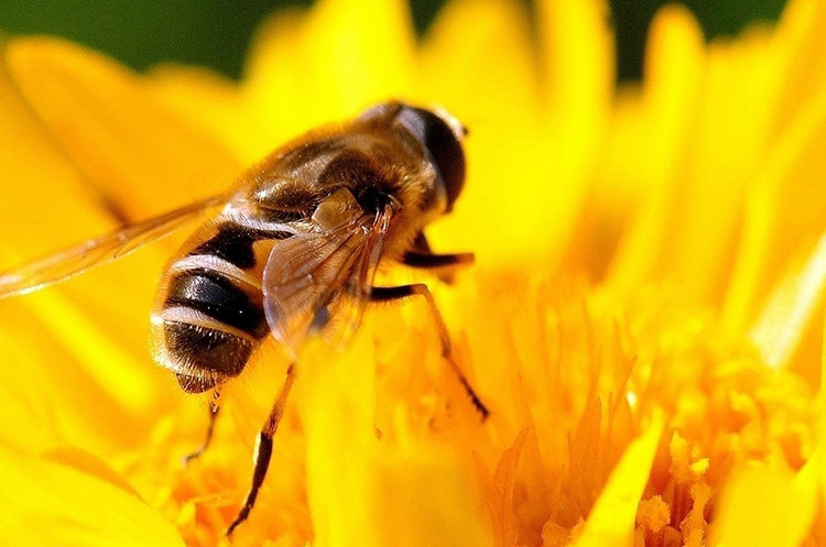 16年ue 佳能 17-40mm f/4l usm广角红圈镜头 ef 17-40 f4 l 镜头