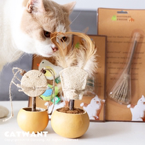 Egg total home Catwant cat Mingwang farm pet cat toy wood cat cat mint Tumbler