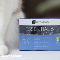 Demes France Golden Point Drops Cat Pet Skin Special Supplement Nutrition Strong Hair Reduce Hair Removal