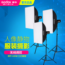 Shenniu DP600W studio flash photography light three light set studio soft light box photography equipment