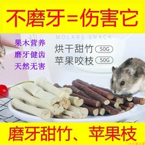 Hamster oval molar rabbit chinchilla guinea pig guinea pig grain minerals plus calcium small animal pet