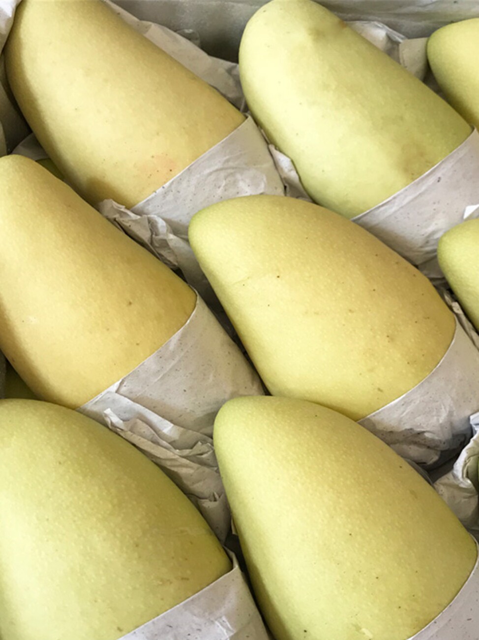 花果花海南三亚新鲜热带水果