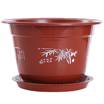 Flowerpot flowerpot flowerpot flowerpot flowerpot flowerpot flowerpot flowerpot flowerpot flowerpot