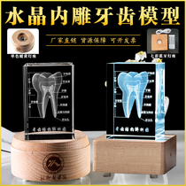 Crystal Tooth Model Customized Inner Carving Dental Dental Dental Dental Stomatology Hospital Medical Student Memorial Gift Creative ornaments