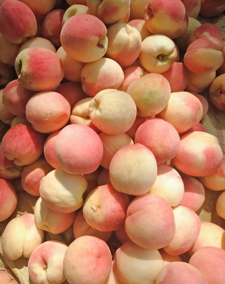 现摘水蜜桃 软桃 陕西新鲜水果毛桃子比油桃黄桃甜脆6斤装包邮