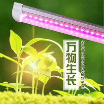 Full spectrum led plant growth lamp flower vegetable nursery tissue culture multi-color complementary light purple uv purple light tube