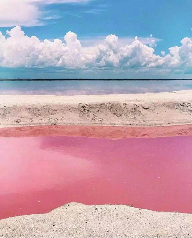 西澳最火色号 | 旅行清单中的粉红湖!