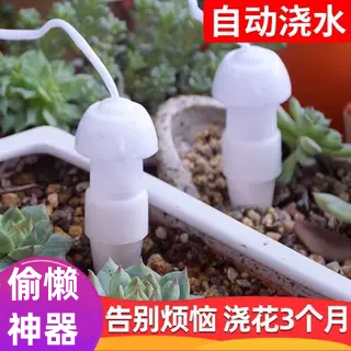 Automatic flower watering tool can be adjusted for lazy people on holiday business trip garden balcony household water seepage drip irrigation tool
Automatic flower watering tool can be adjusted for lazy people on holiday business trip garden balcony household water seepage drip irrigation tool