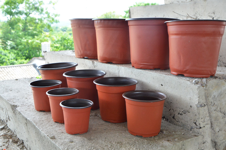 831双色花盆种植育苗塑料盆穴盘苗盘移植盆摔不坏育苗杯多肉扦插