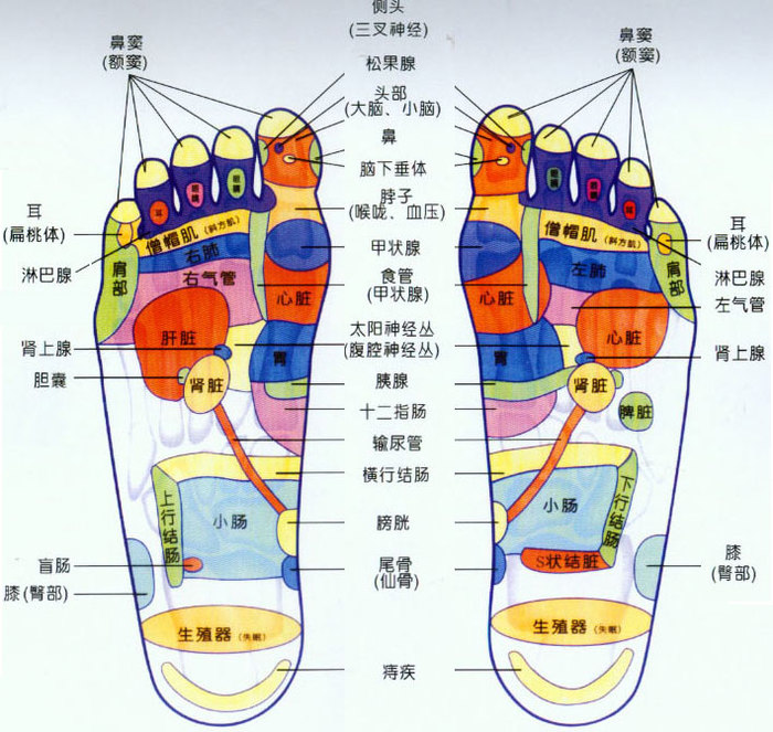 中医说,热从头生,寒从足入,双脚其实是穴位非常多的重要部位,而冬天