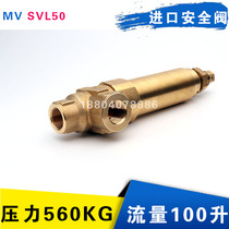 SVL50 Italy MV safety valve cleaning machine accessories 500kg pressure AR pump protection valve relief valve