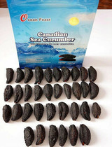 Canadian Arctic 6 years wild ocean feast High-quality gold standard brand 35 sea cucumbers with red tendons direct mail