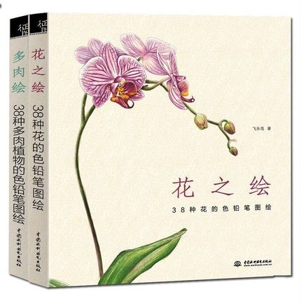 铅笔花之绘+多肉绘飞乐鸟的色正版手绘入门书黑卡操作指南图片